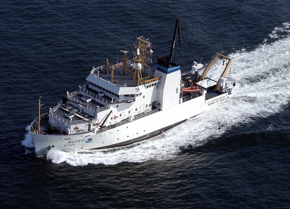 Fisheries Sampling Imagery